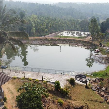 Willostays Villa Tranquil De Susanj Sakleshpur Ngoại thất bức ảnh