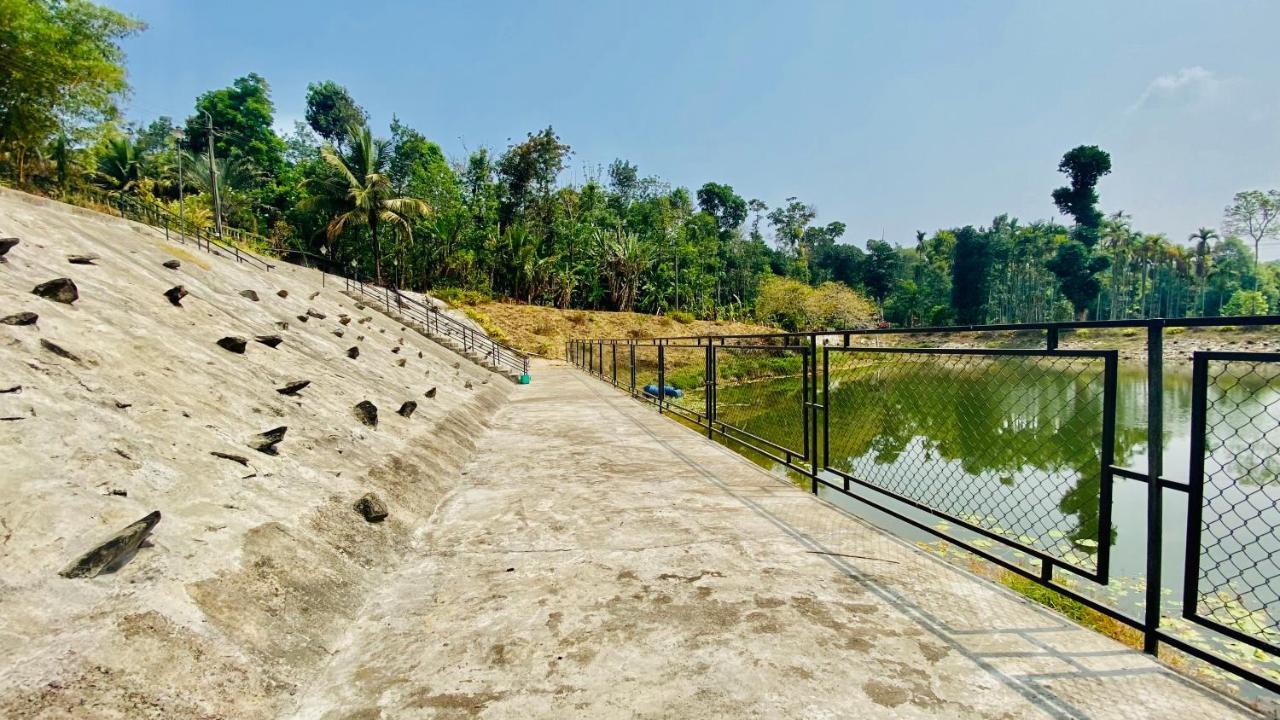 Willostays Villa Tranquil De Susanj Sakleshpur Ngoại thất bức ảnh